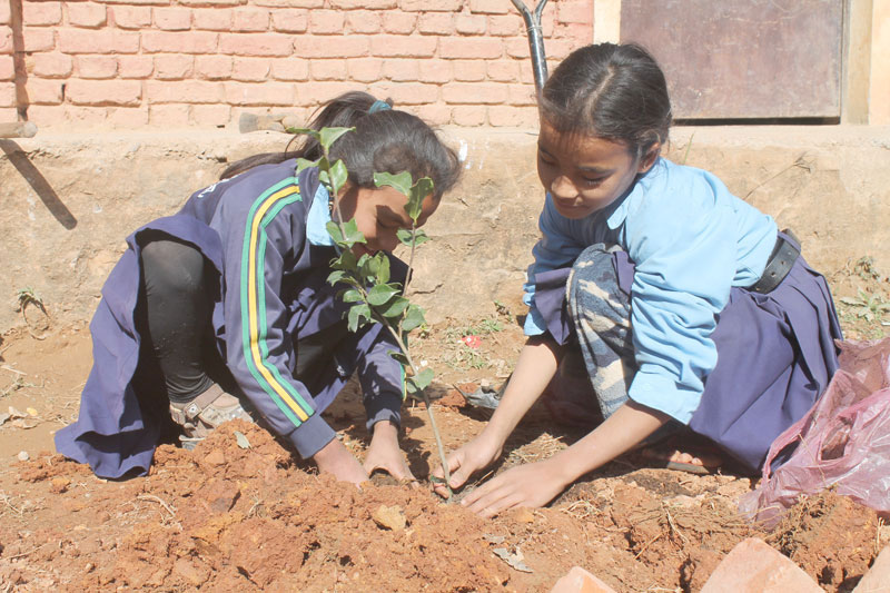 Shree Jana Jagriti Primary School, Koirale